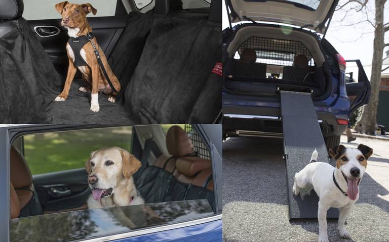 Los mejores accesorios para viajar con perros en el coche