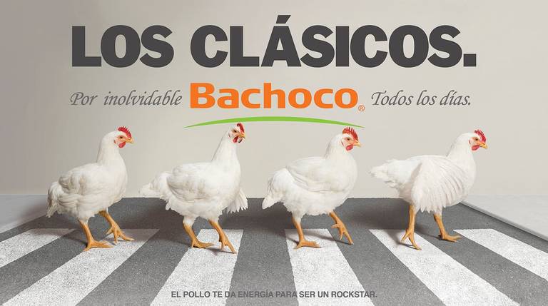 Recordamos al fundador de Bachoco con la creativa publicidad de los pollos  - El Sol de México | Noticias, Deportes, Gossip, Columnas