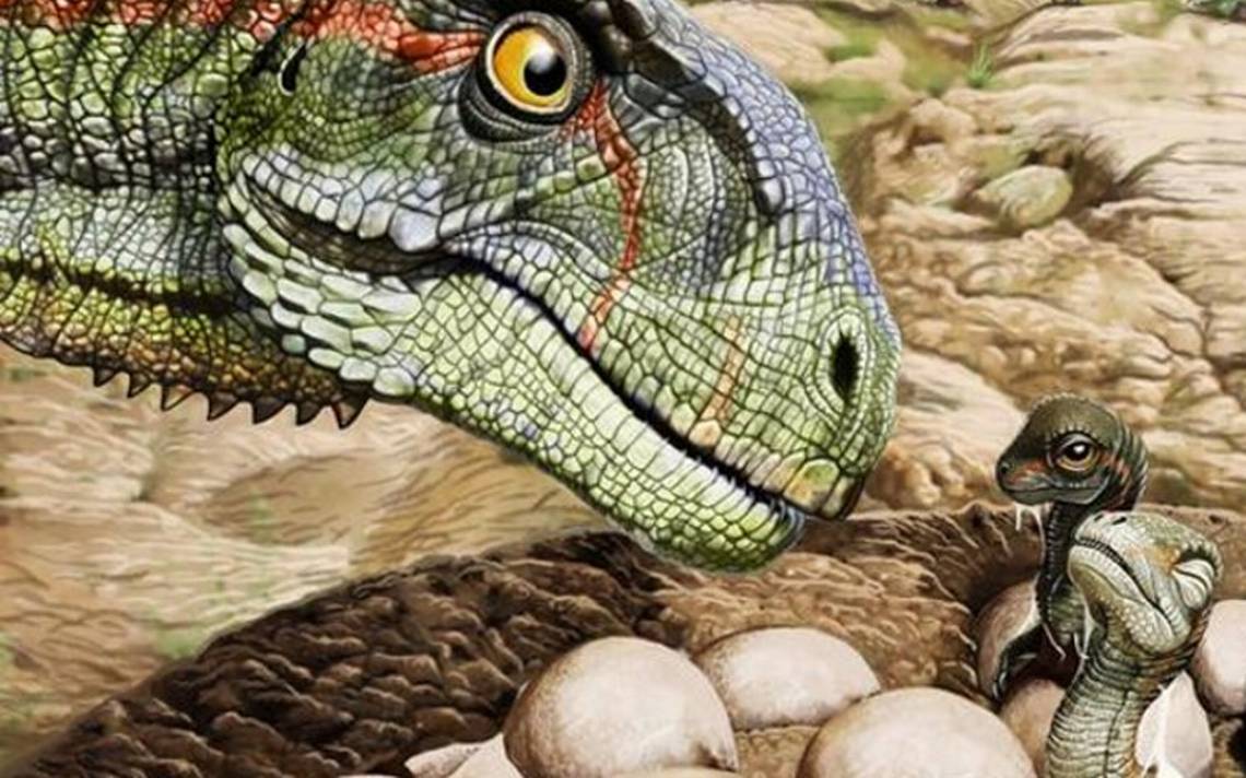 Encuentran huevos de dinosaurio en Argentina y cambian lo que se conocía de  ellos - El Sol de México | Noticias, Deportes, Gossip, Columnas