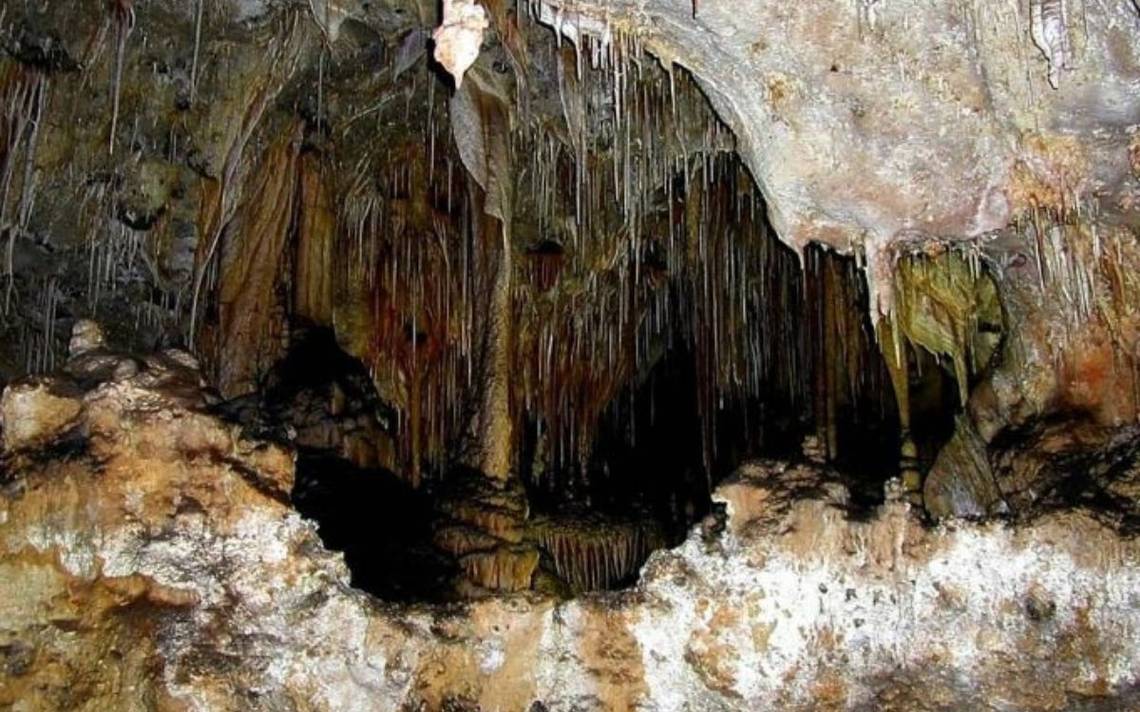 Jaskinia Movile była zapieczętowana przez 5 milionów lat: teraz jej sekrety zostały ujawnione – El Sol de México