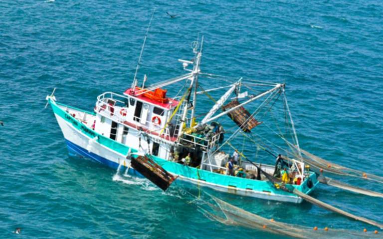 La pesca marina en el mar Mediterráneo - Ecología Política