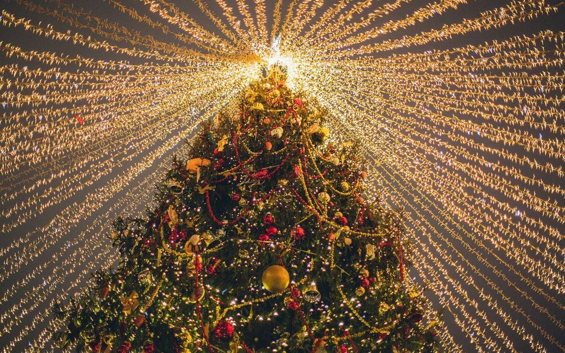 El origen no tan cristiano del árbol de Navidad: ¿hemos vivido engañados? -  El Sol de México | Noticias, Deportes, Gossip, Columnas