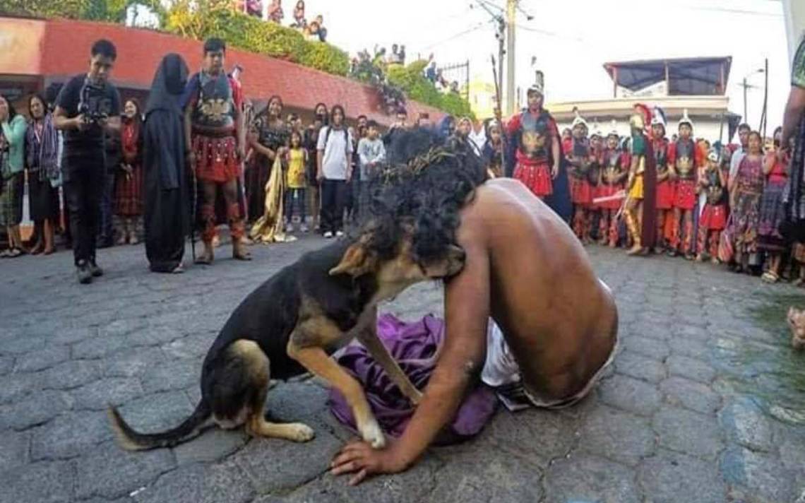 Stray dog ​​comforts Jesus in Viacrucis in Guatemala