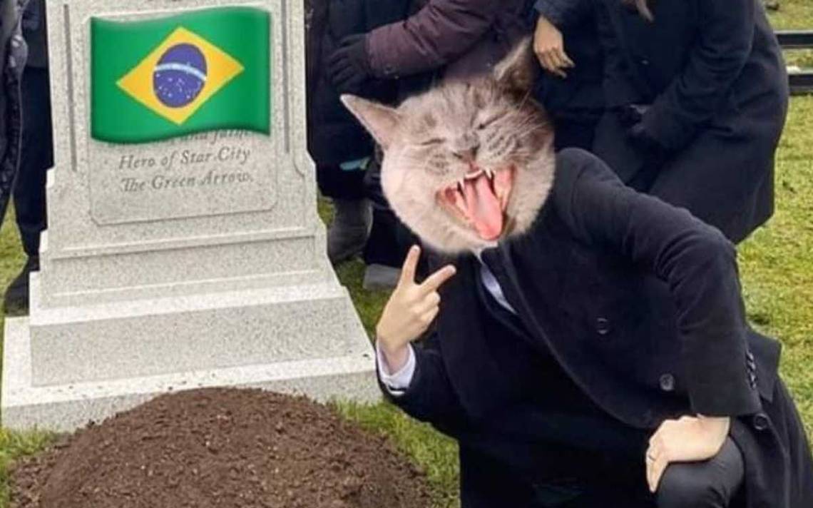 They were told, they were warned: the “curse of the michi” fell in Brazil;  the story in memes