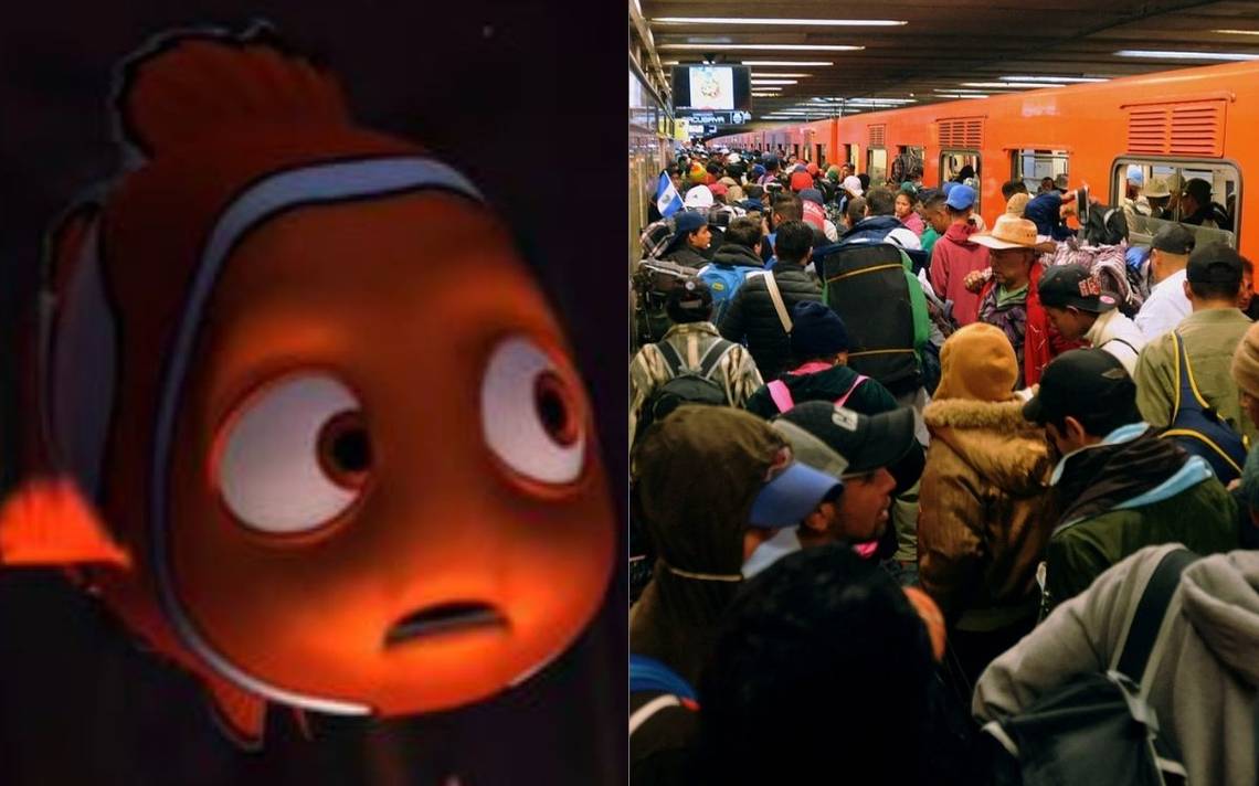 Metro CDMX: Usuarios cantán Nadaremos, escena de Buscando a Nemo en  Pantitlán - El Sol de México | Noticias, Deportes, Gossip, Columnas