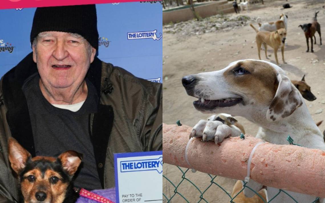 Dog lover wins lottery and donates everything to shelter