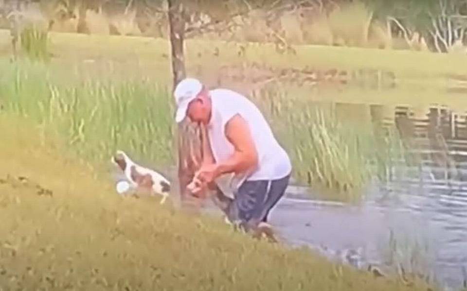 Video] Hombre salva a su cachorro de ser deborado por un cocodrilo lago  florida lomitos perro perrito - El Sol de México | Noticias, Deportes,  Gossip, Columnas