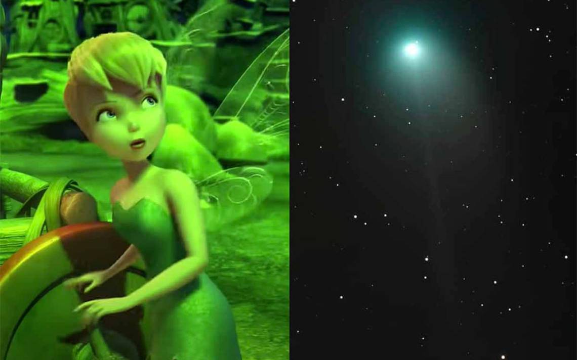 Tinker Bell and the green comet cause a sensation in networks: what is the connection that unites them?