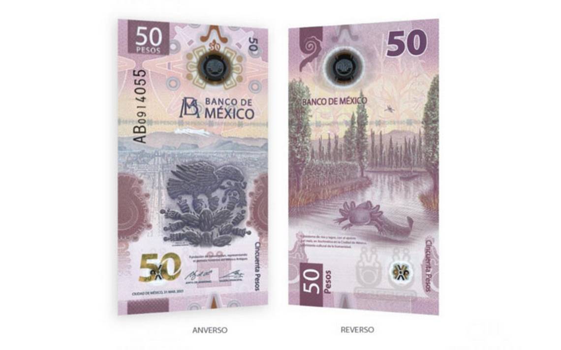 Banxico presenta un nuevo billete de 50 pesos, tendrá la imagen de un ajolote.  – El sol mexicano