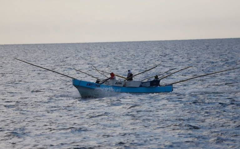 México sigue sin norma de trazabilidad en sector pesquero: Oceana - El Sol  de México