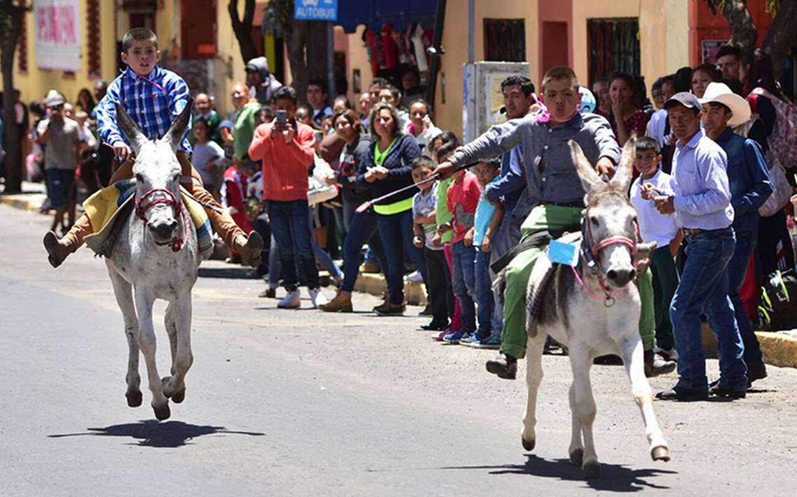 Gana el Felimón la carrera de burros en Tlaxco - El Sol de México |  Noticias, Deportes, Gossip, Columnas