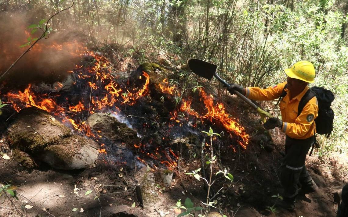 Incrementan incendios forestales 60% en mayo