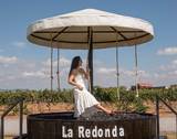 El evento más esperado de Viñedos La Redonda se llama “Festival 100 Vinos Mexicanos”.