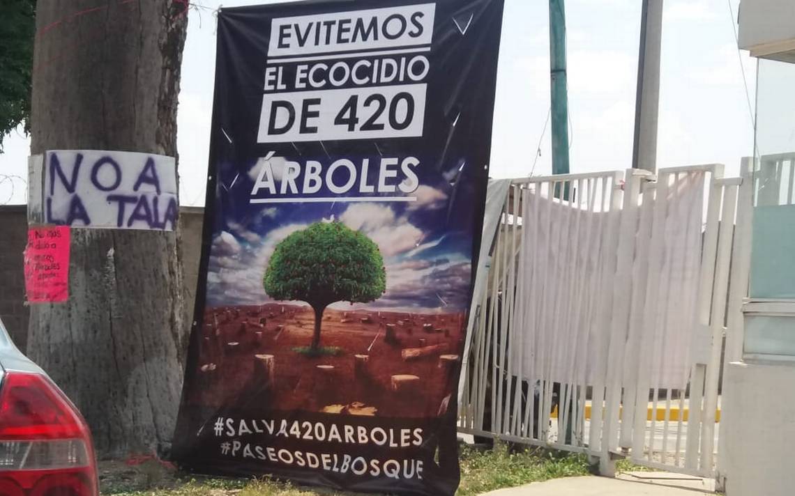 Se confrontan ciudadanos y gobierno en el Edomex por tala de árboles - El  Sol de México | Noticias, Deportes, Gossip, Columnas