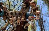 De sus árboles cuelgan muñecas desmembradas cubiertas por telarañas y algunas de ellas sin ojos | Foto: Alc. Xochimilco