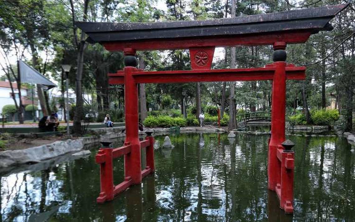 Jardín japonés en la CDMX, una herencia cultural - El Sol de México |  Noticias, Deportes, Gossip, Columnas