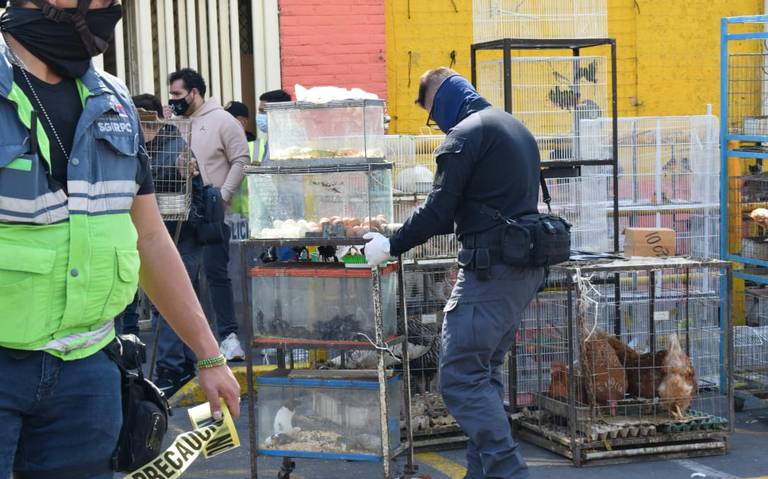 Ropa de piel humana por Urban Outraged como campaña de PETA: fotos - El Sol  de México | Noticias, Deportes, Gossip, Columnas