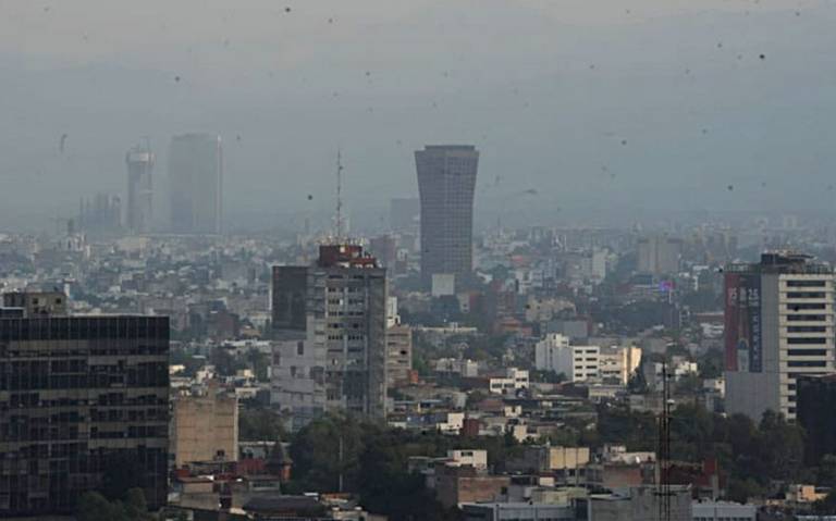 Suspenden contingencia ambiental fase 1 en el Valle de México CAME - El Sol de México | Noticias, Deportes, Gossip, Columnas