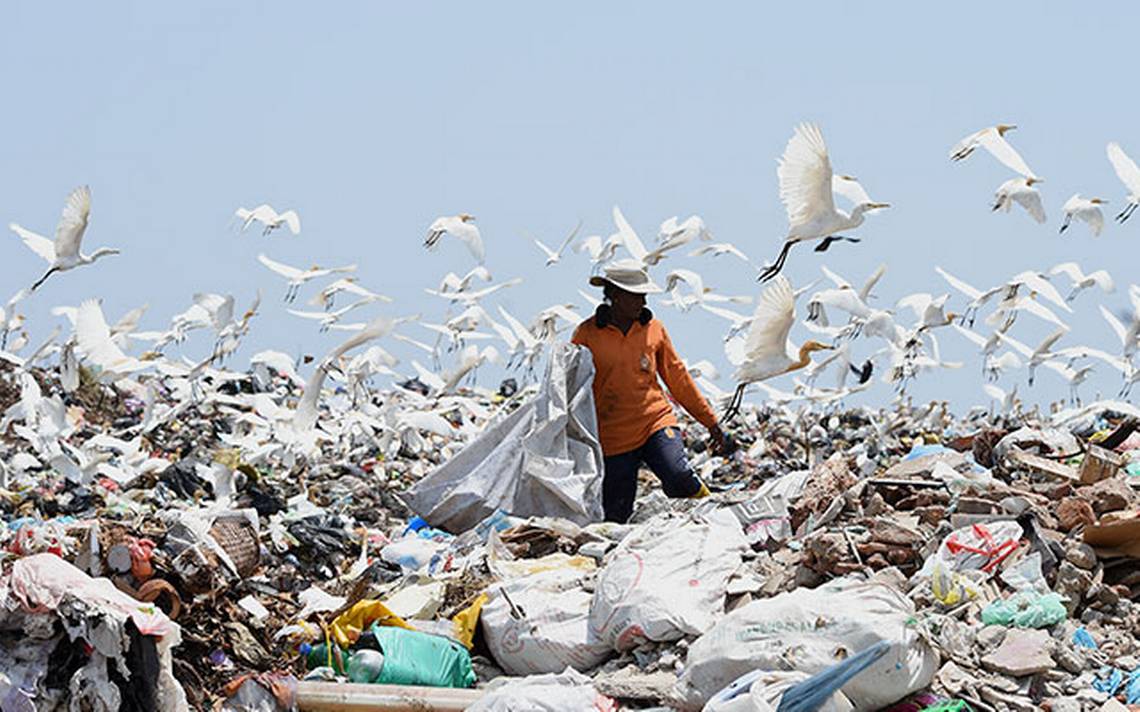 En México cada día desechan nueve millones de botellas de plástico - El