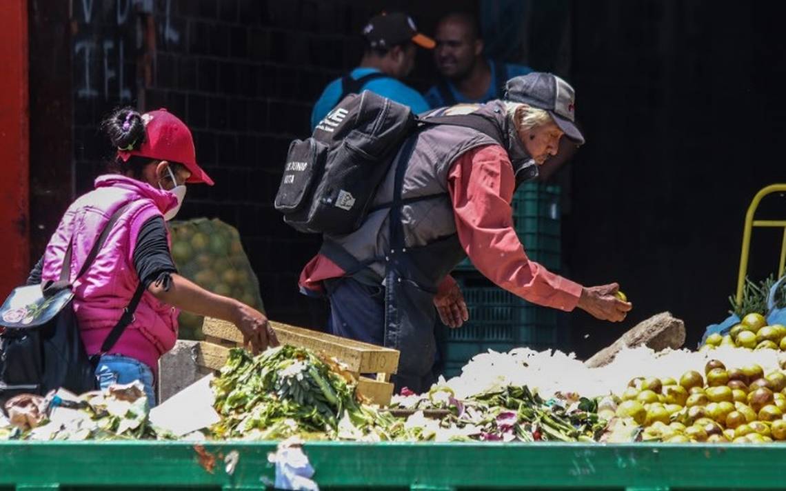 Aumenta el desperdicio de comida, advierte Coneval - El Sol de México |  Noticias, Deportes, Gossip, Columnas
