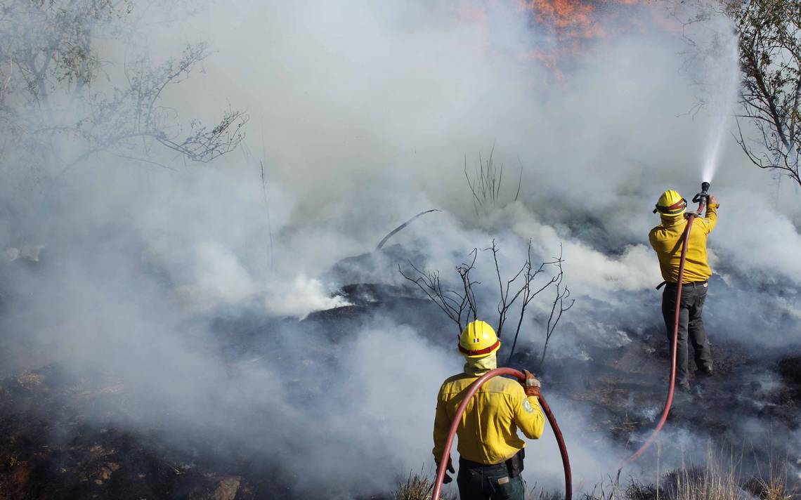 México combate una temporada atípica de incendios en 20 estados - El Sol de  México | Noticias, Deportes, Gossip, Columnas