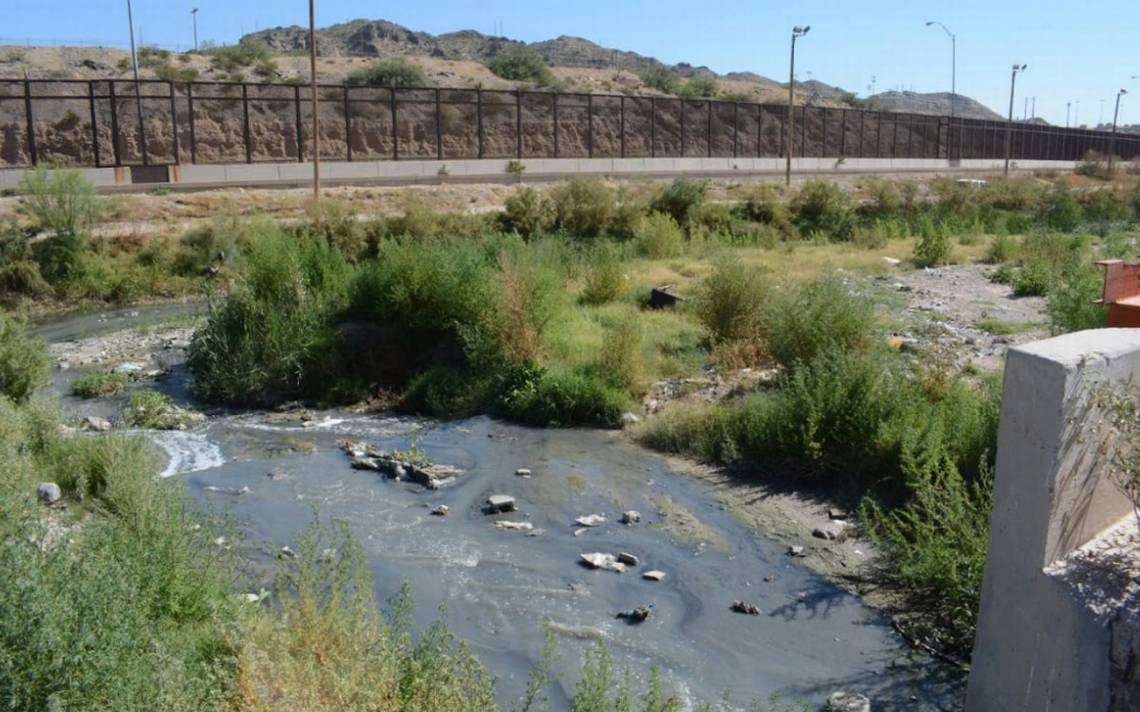 Contaminación del Río Bravo daña a aves - El Sol de México | Noticias,  Deportes, Gossip, Columnas