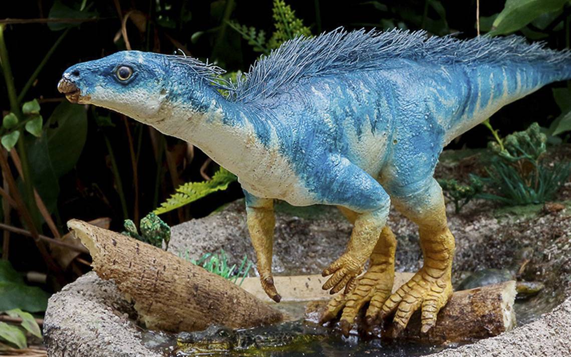 Descubren familia de dinosaurios que habitó México hace millones de años -  El Sol de México | Noticias, Deportes, Gossip, Columnas