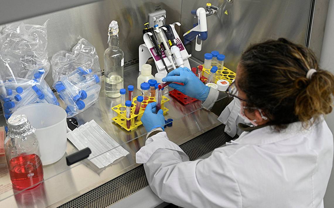 Brasil comienza pruebas de vacuna de Oxford contra Covid-19 - El ...