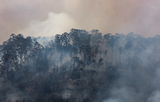 Se han incendiado 30 mil hectáreas en Portugal. Foto. AFP