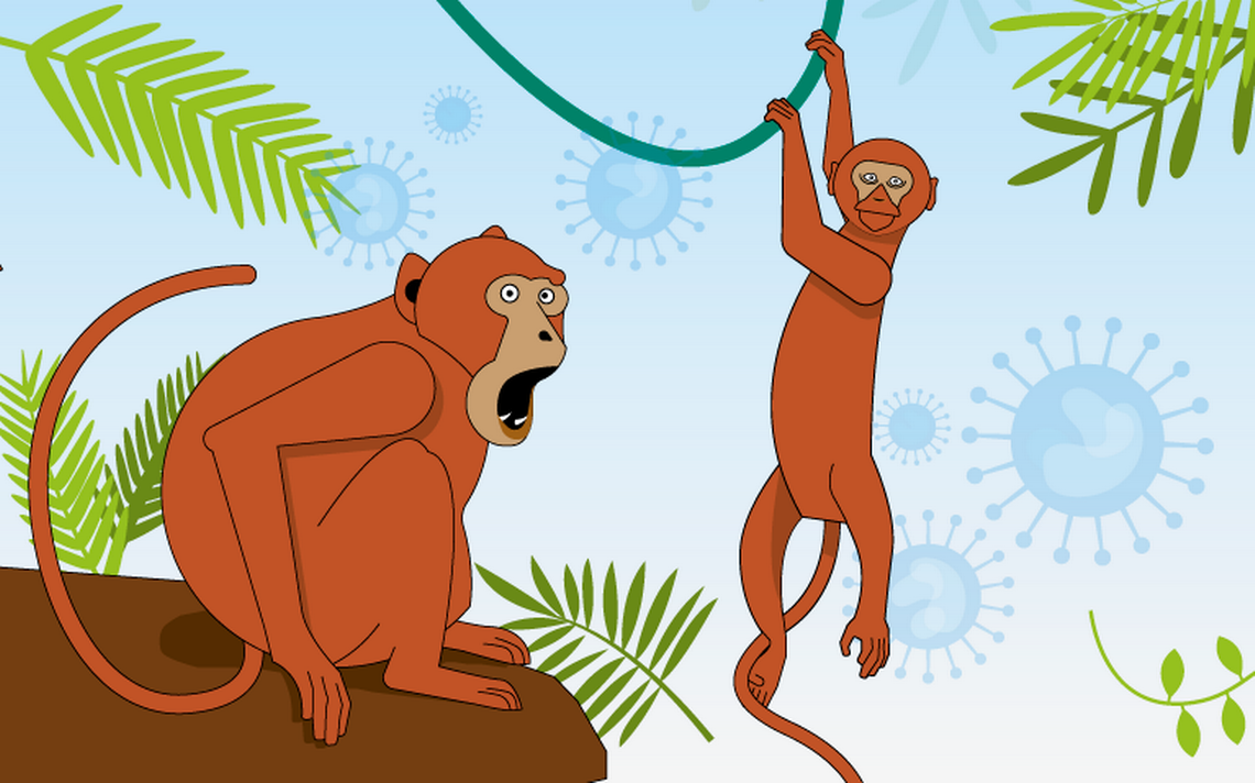 #SOY Bajo Observación | Comunidad Queer, más preocupada por la viruela del mono