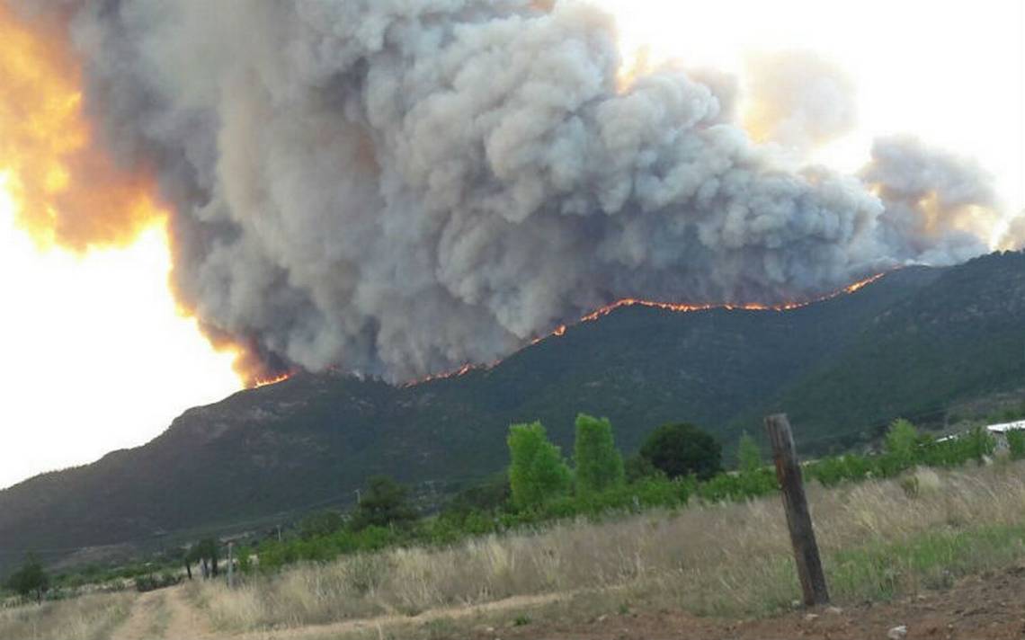 Incendio forestal afecta 600 hectáreas en Sierra de Arteaga, Coahuila - Noticias, Deportes, Gossip, Columnas | El Sol de México