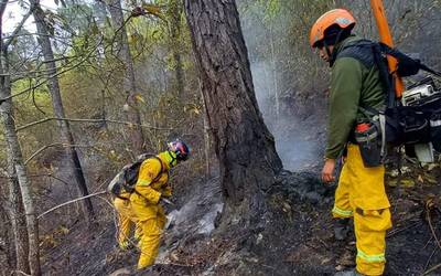 Controlan al 100% incendio forestal en Nuevo León